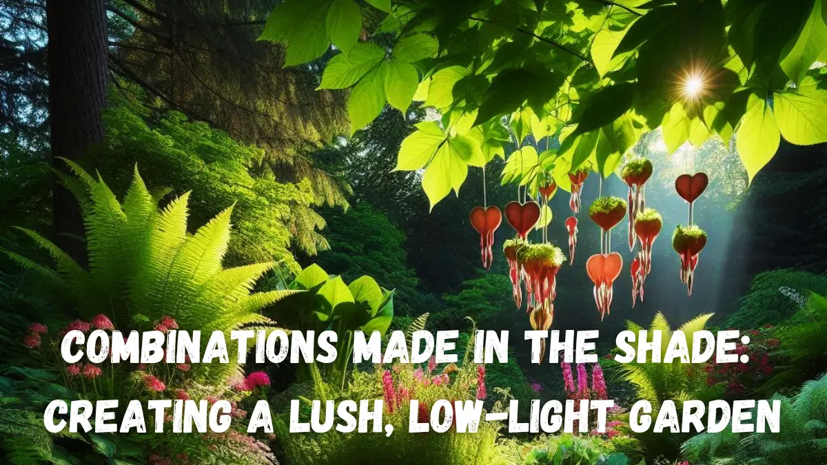 Combinations Made in the Shade: Creating a Lush, Low-Light Garden