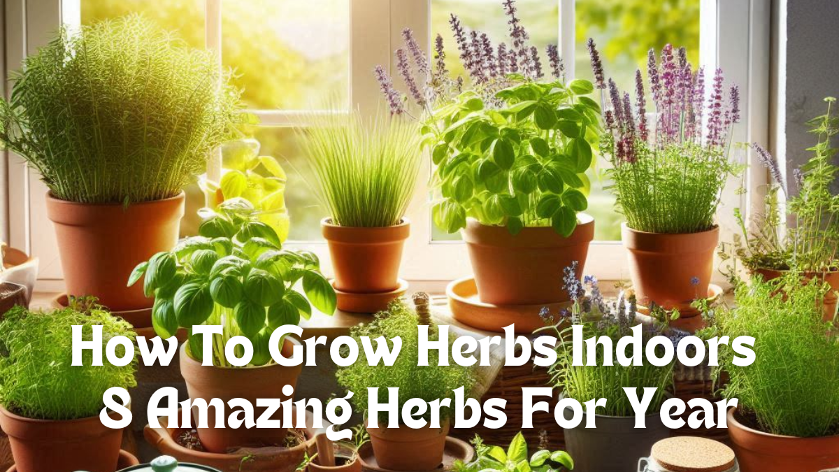 How To Grow Herbs Indoors – 8 Amazing Herbs For Year Round Flavor!